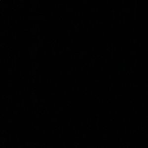 Meet your Posher, Serena